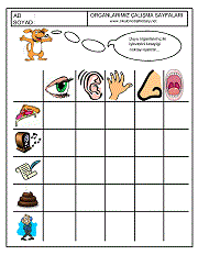 okul öncesi çocuklar için duyu organlarını eşleştirme çalışmaları